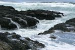 PICTURES/Oregon Coast Road - Cape Perpetua/t_P1210593.JPG